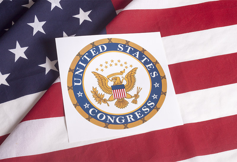 U.S. Congress - flag